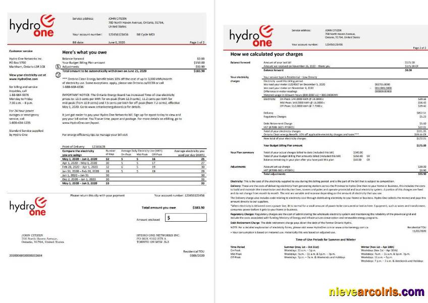 USA Ontario’s Hydro One electricity utility bill 2 pages